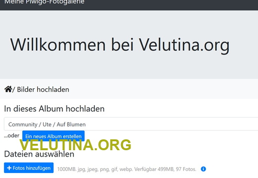 Bilder hochladen05